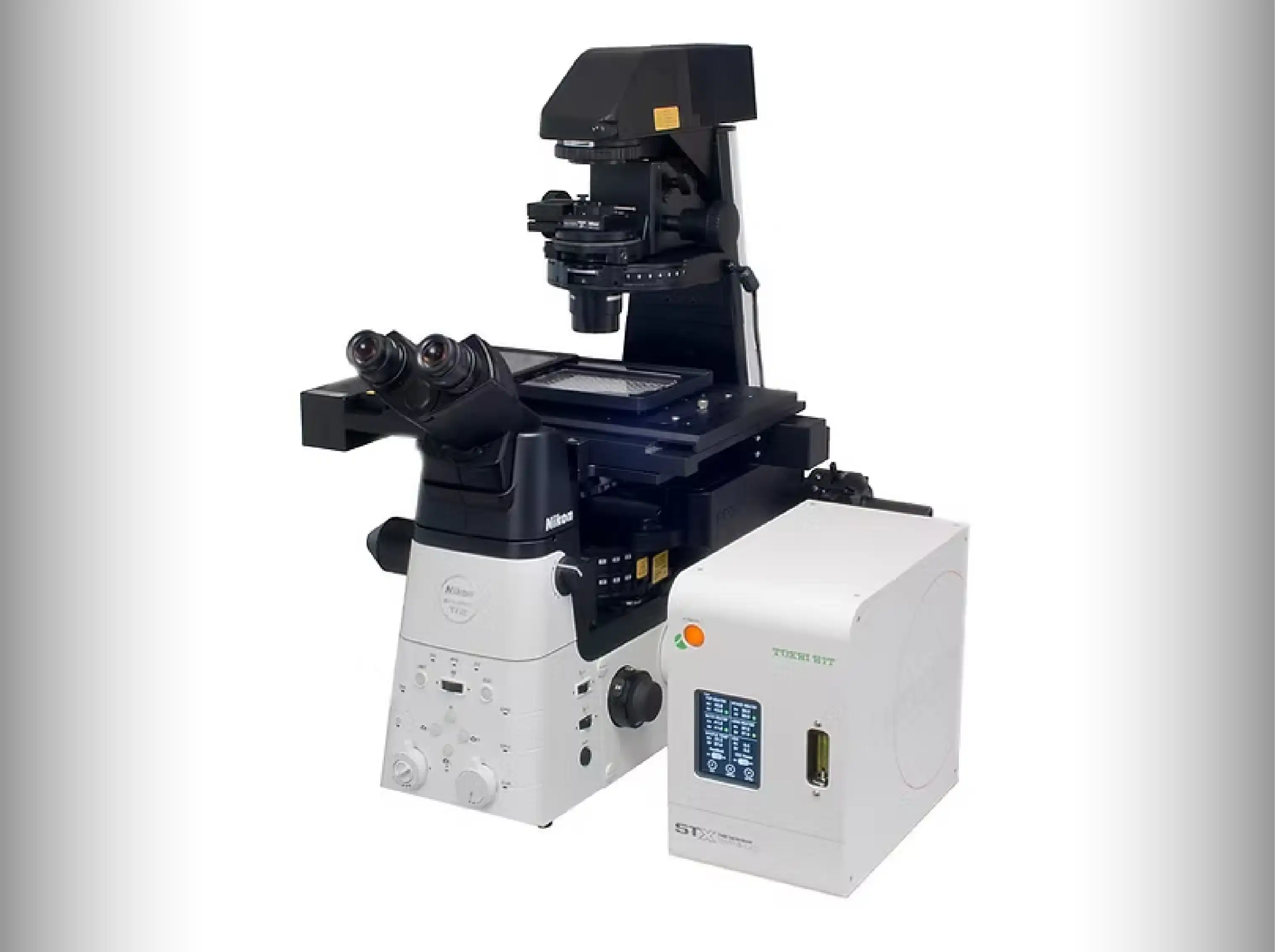 In Vitro Fertilization (IVF) | KSA